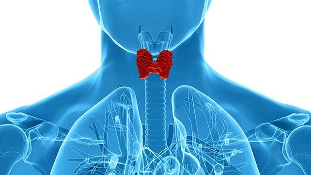 Thyroid Profile Test