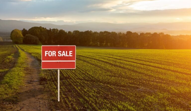 Buy Vacant Land