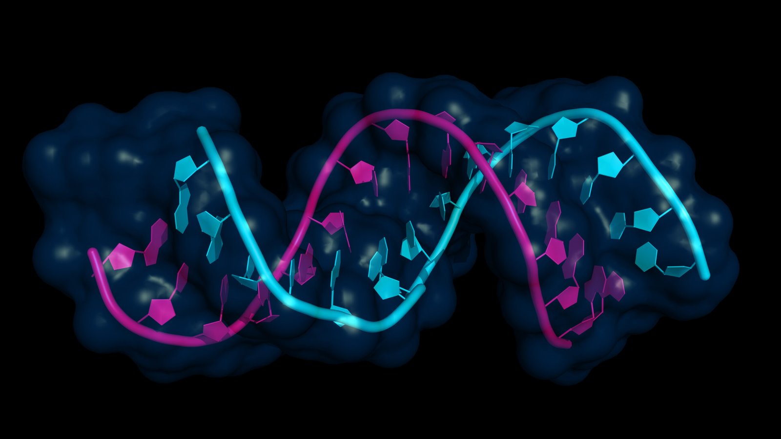 Europe Gene Expression Market