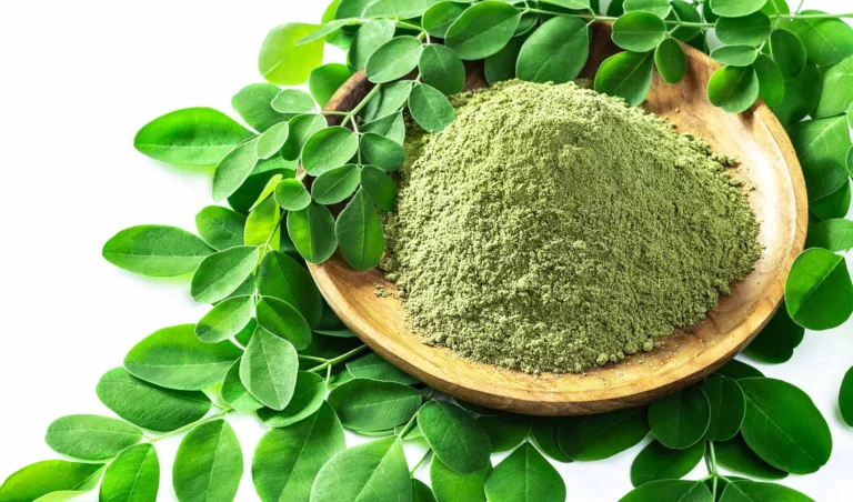 Moringa Powder