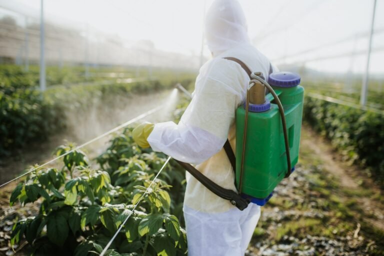 Pesticide Treatment